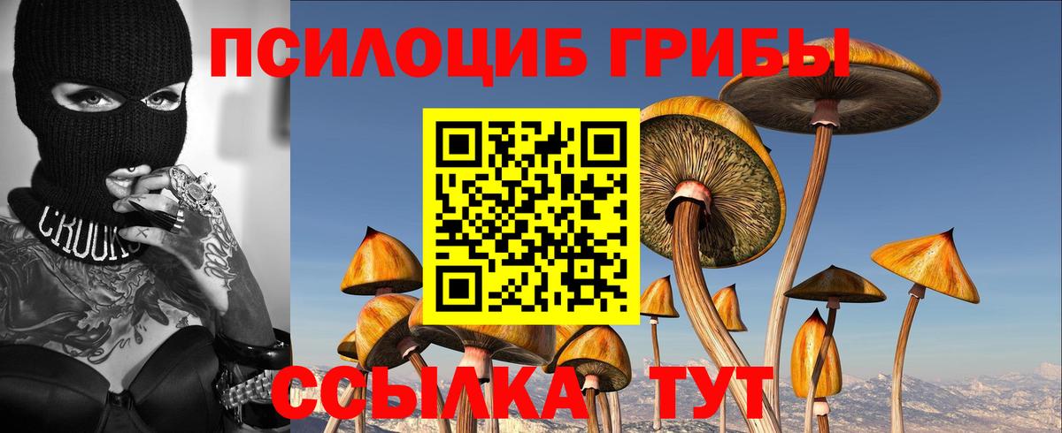 Псилоцибиновые грибы MAGIC MUSHROOMS Кыштым