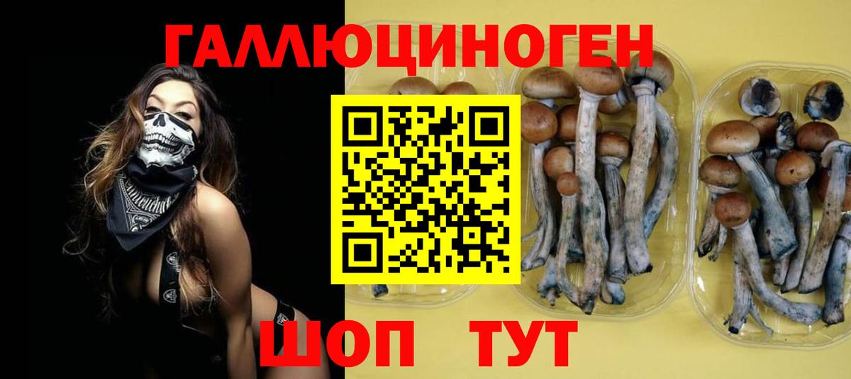 Кыштым  Галлюциногенные грибы прущие грибы  Вход с VPN 